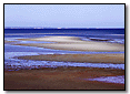 Tidal Flats