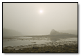 Morning Fog