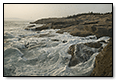 Surf