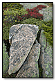 Weathered Rocks
