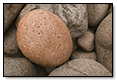 Rocks