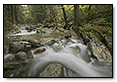 Stream