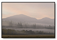 Morning Fog