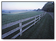 Fence