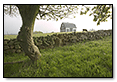 Farm