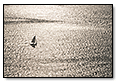 Sailboat