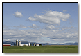 Vermont Farm