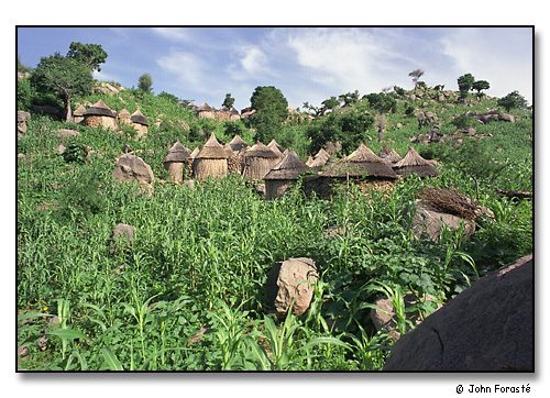 Huts en route to the mountain school above Mora, Cameroon, Africa