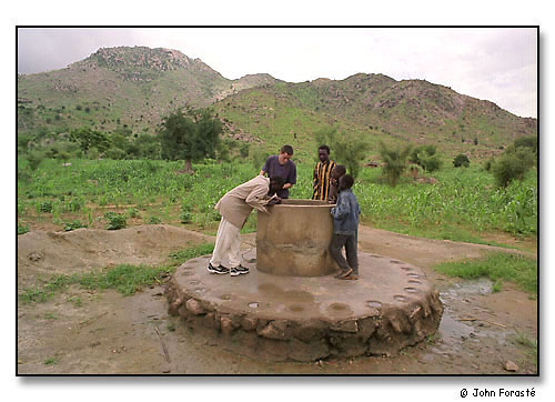 Alex's well, Mora, Cameroon, Africa