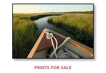 Prints