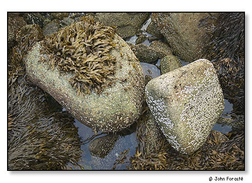 2 Rocks. September 2007.