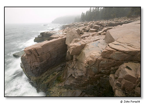 Acadia coast, surf, fog.