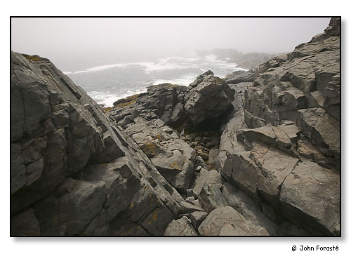 Rocks, surf and fog.