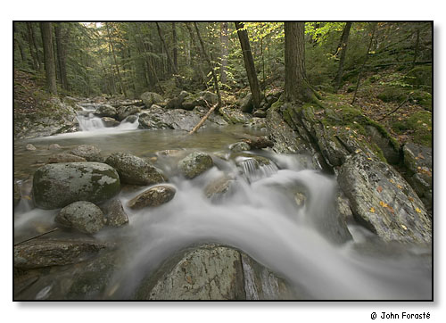 Mountain stream.
