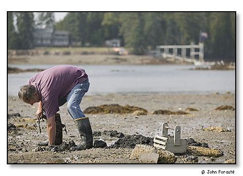 Clamdigger. September 2007.