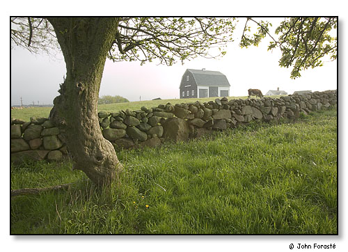 Block Island farm.