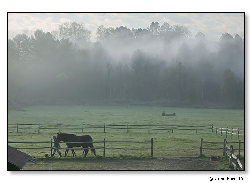 Horse farm.