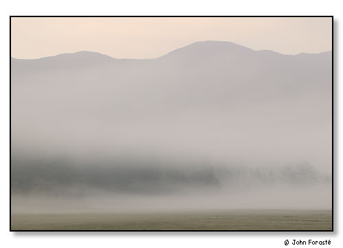 Mountains, trees and very heavy fog at dawn. The White Mountains, Franconia, New Hampshire. October 2004.