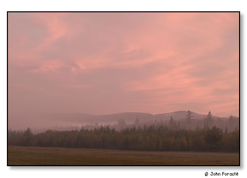 Mountains, trees and sky at dawn. The White Mountains, Franconia, New Hampshire. October 2004.