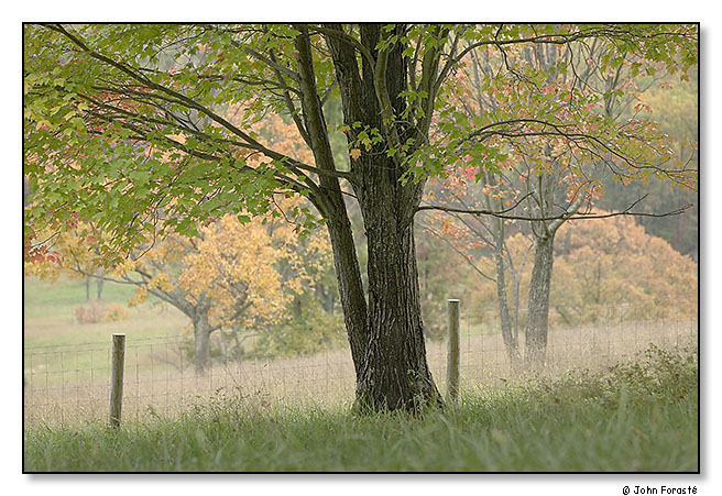 Fall. October 2011.