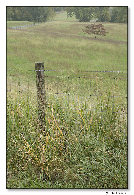 Fall. October 2011.