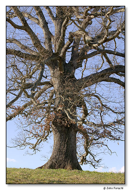 Winter. February 2012.