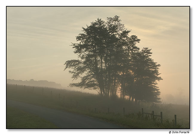 Morning sun. September 2012.
