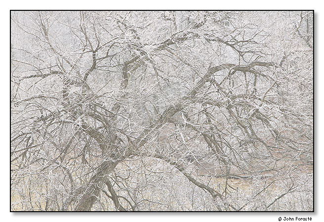 Winter. January 2012.
