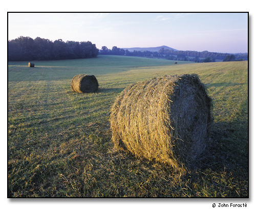 Hayfield.