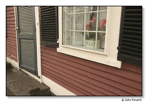 Flowers in window.