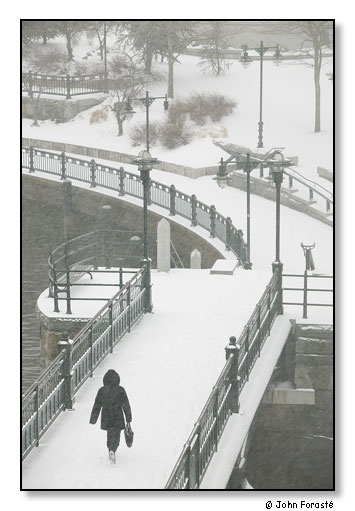 Snow. March 2007.