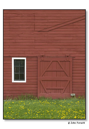 Red barn and spring dandelions. Waitsfield, Vermont. May 2005.
